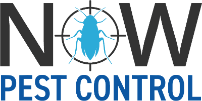 Now Pest Control