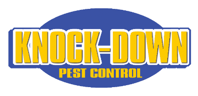 Knock-Down Pest Control